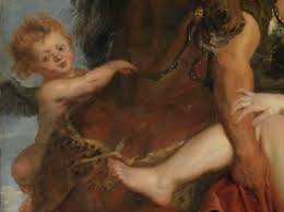 Attēlu rezultāti vaicājumam “Lopheros rubens”