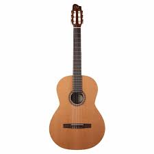 Image result for guitar