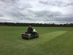 Image result for Calne Cricket Club