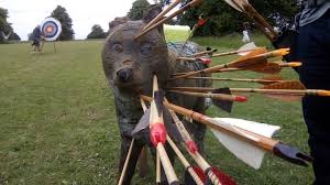 Image result for Hart Of Sherwood Archery Club