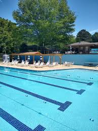 Image result for Sedgefield 75 Swimming Club
