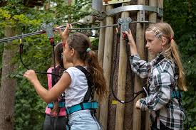 Image result for Go Ape! Alice Holt