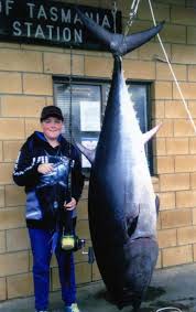 Image result for Thunnus maccoyii