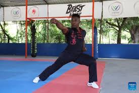 Image result for Dragon Wushu Club