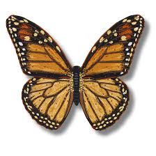Image result for monarch butterfly