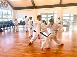 Image result for Soncho Karate Club