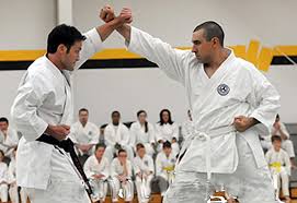 Image result for Charnwood Shoto Ryu Karate kai