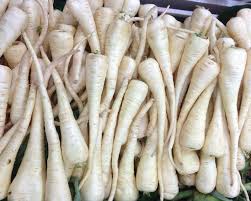 Attēlu rezultāti vaicājumam “Pastinaca sativa”