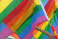 Gay-Flag.jpg