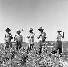 Résultat de recherche d'images pour "farm security administration photo"