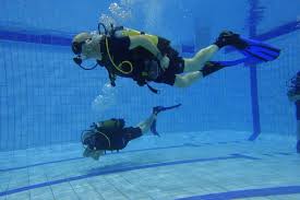 Image result for Manta Divers Sub-Aqua Club