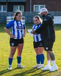Image result for Haywards Heath Town Ladies Football Club