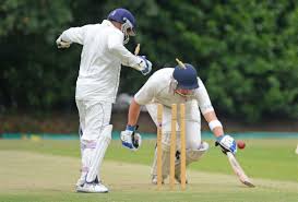 Image result for Preston Village Cricket Club