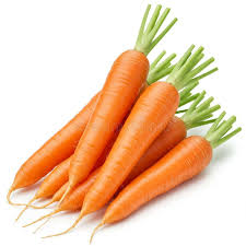 Attēlu rezultāti vaicājumam “Daucus carota subsp. carota fruit”