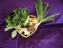 Beneficial Farms CSA | Our farm tagline