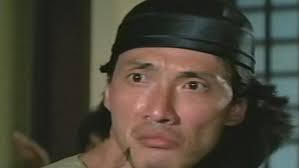 Image result for DRUNKEN MASTER