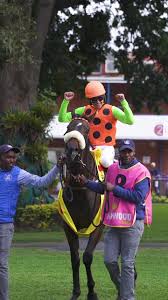 Image result for Snaith Stormers