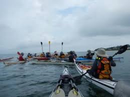 Image result for York Canoe Club