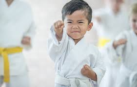Image result for Chichester Tae Kwon Do