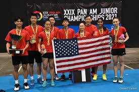 Image result for Mayflower & Hammond Jnr Badminton Club