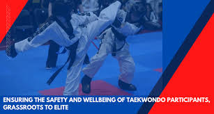 Image result for South Bank Taekwondo
