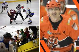 Image result for Telford Junior Ice Hockey Club
