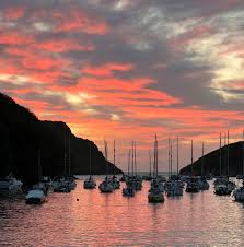 Image result for Watermouth Yacht Club