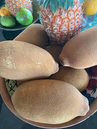 Attēlu rezultāti vaicājumam “Libanotis montana fruit”