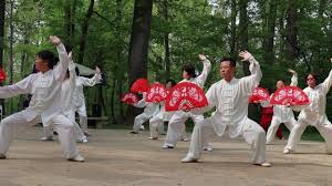Image result for Wushu Tai Chi Club