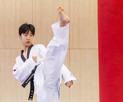 Image result for Park Place Olympic Tkd