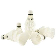 Image result for Feathers Badminton- Leatherhead