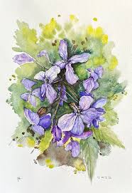 Attēlu rezultāti vaicājumam “Cardamine bulbifera flower”