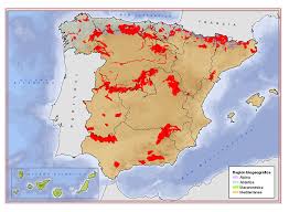 Attēlu rezultāti vaicājumam “Euphydrias aurinia”