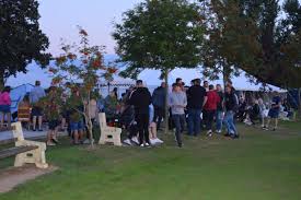 Image result for Halstead Cricket Club