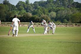 Image result for Dorchester Cricket Club