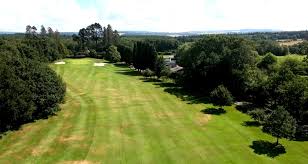 Image result for Newton Abbot Somersaults Gc