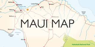 「VHAPUNI　MAO」の画像検索結果