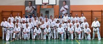 Image result for Aylesbury Vale Seido Karate