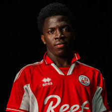 Image result for Crawley Town Football Club