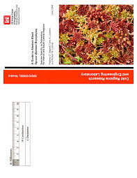 Attēlu rezultāti vaicājumam “Blepharostoma trichophyllum sporophyte”