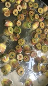 Image result for Cupello