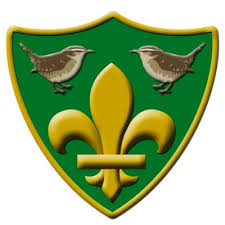 Image result for York Ladies Cricket Club