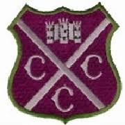 Image result for Chulmleigh & Mid Devon Cricket Club
