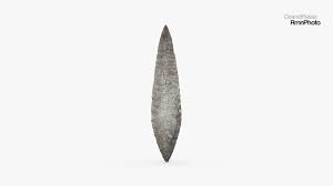 Image result for feuille-laurier-silex