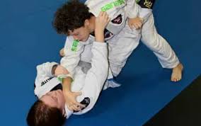 Image result for Apollo Martial Arts Academy