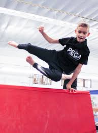 Image result for Velocity PK Parkour Club