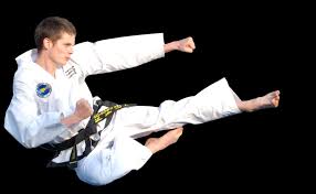 Image result for COMBAT TAEKWONDO
