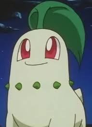 Image result for Endivie