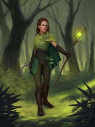 Image result for druid