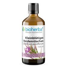 Image result for Weidenröschen
